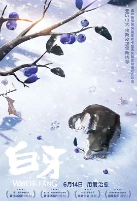 草逼视频免费