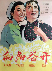 漂亮的妹妹韩国电影