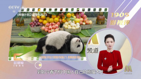 2021三级a电影大全